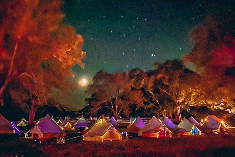 Edited_Wildwood