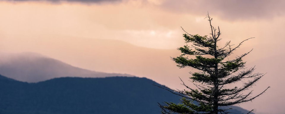 Photo Gallery - Snowshoe ATV PM