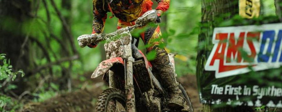 Tuesday Toolbox: Trevor Bollinger