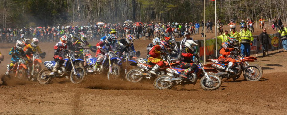 Photo Gallery: Steele Creek Pro Starts