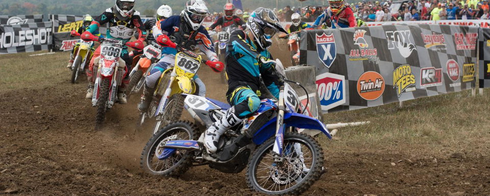 Tuesday Toolbox: Alex Teagarden
