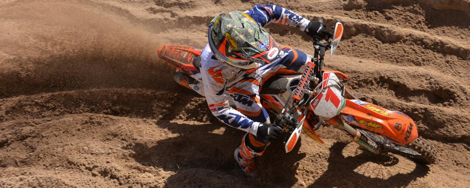 Photo Gallery: Wild Boar Afternoon Bikes