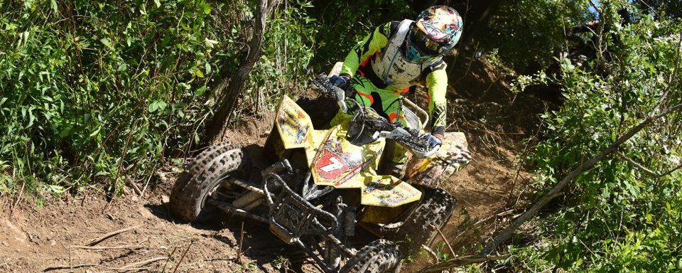 Tuesday Toolbox: Chris Bithell
