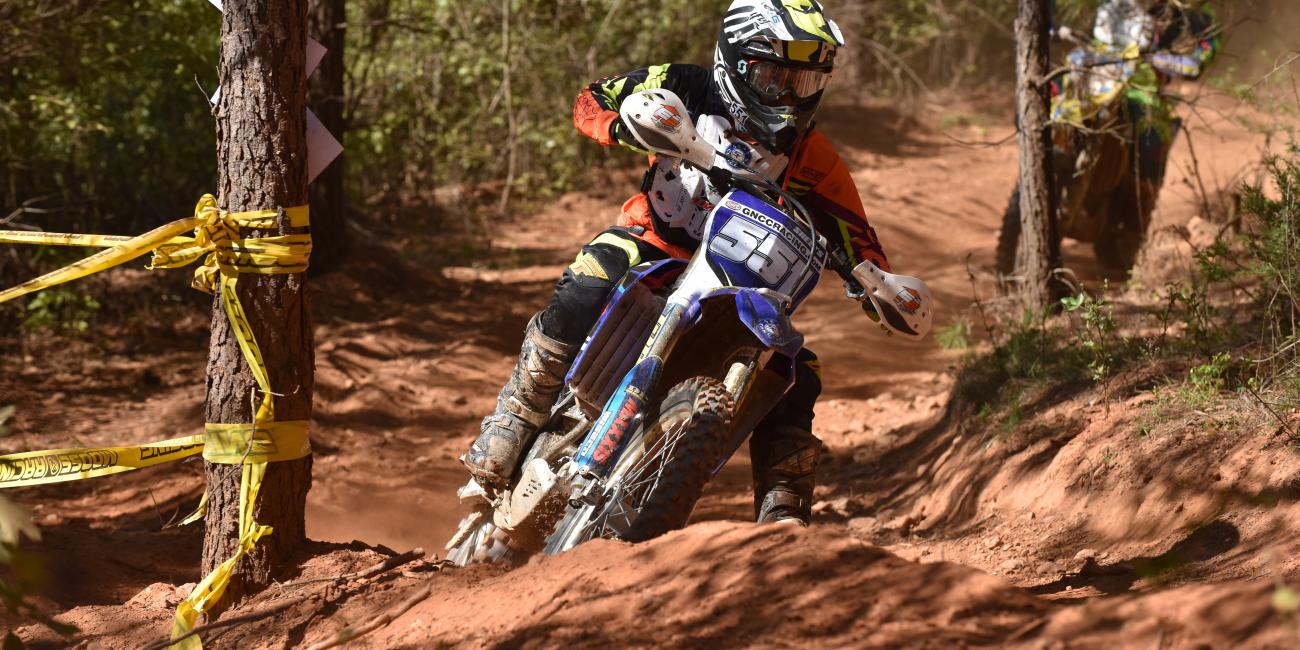 Tuesday Toolbox: Becca Sheets