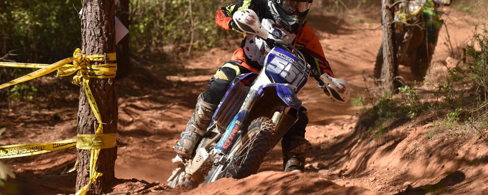Tuesday Toolbox: Becca Sheets
