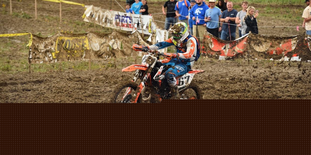 Tuesday Toolbox: David Quillen