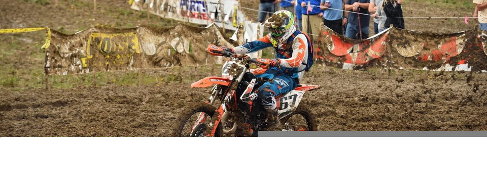 Tuesday Toolbox: David Quillen