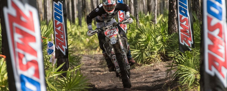 Photo Gallery: Wild Boar Afternoon Bikes