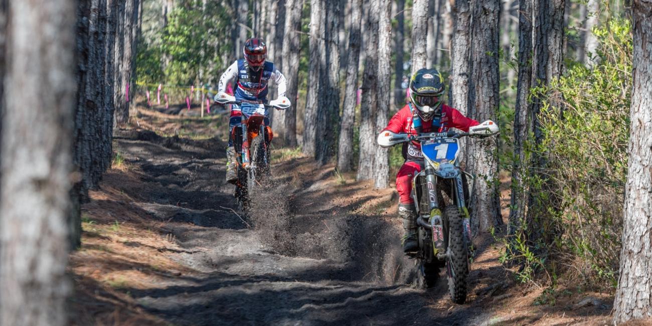 Video Report: Wild Boar WXC