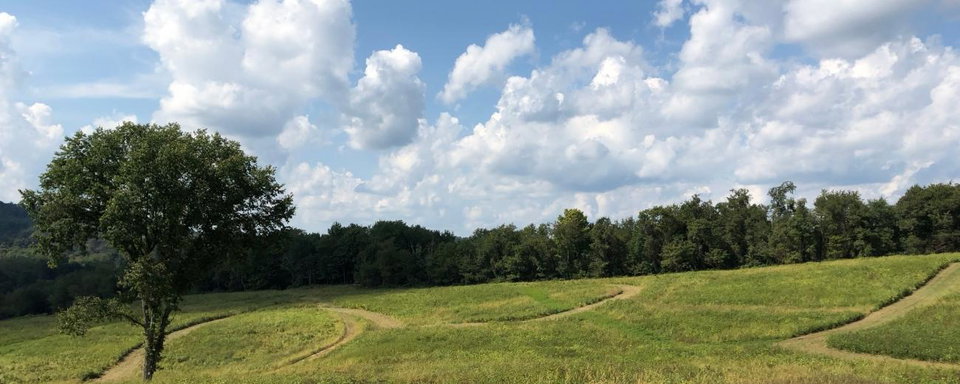 Quick Fill #34: This Week in GNCC
