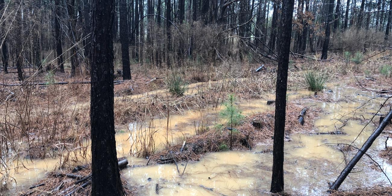 Competition Bulletin 2019-5: GNCC Season Opener Postponed Big Buck to be Rescheduled
