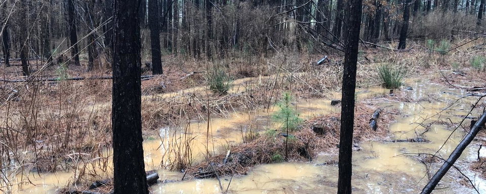 Competition Bulletin 2019-5: GNCC Season Opener Postponed Big Buck to be Rescheduled