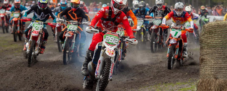 Photo Gallery: Wild Boar Afternoon Bikes