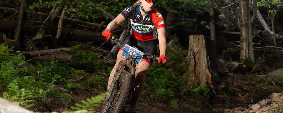 Tuesday Toolbox: Ashley Hendershot