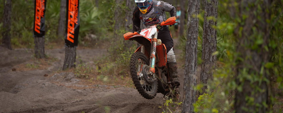 Photo Gallery: Wild Boar Afternoon Bikes