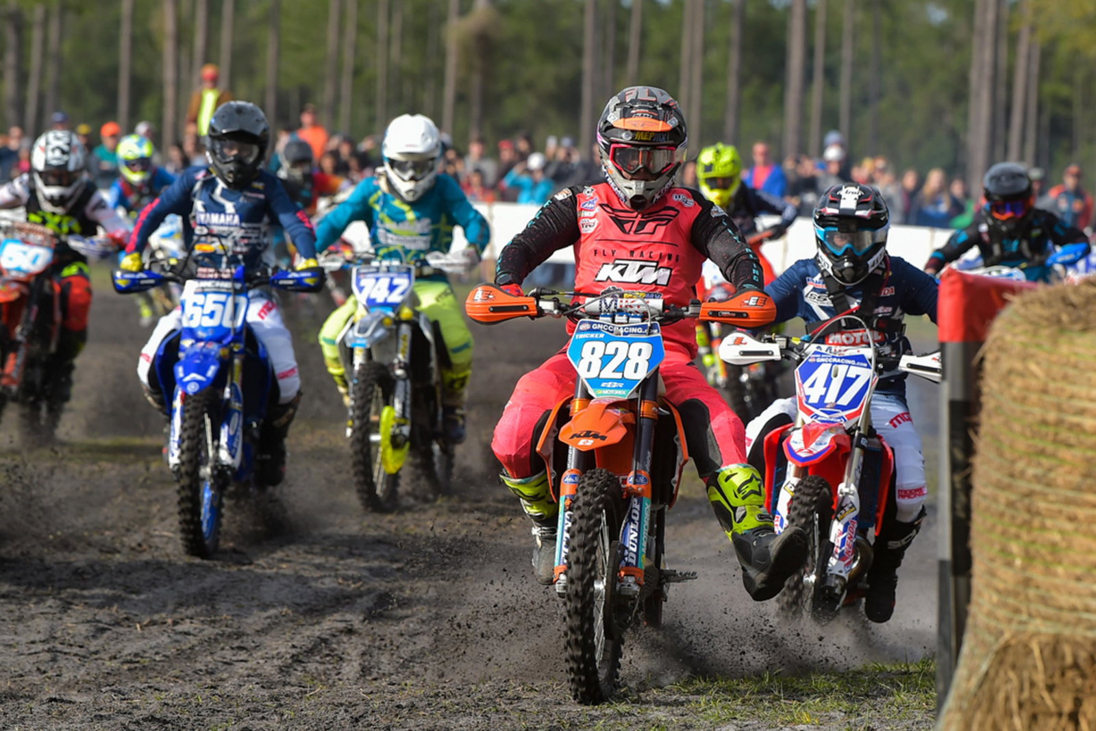 Video Report: Wild Boar WXC Bike