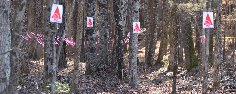 Competition Bulletin 2020-7: Postponed: Rnd 4 Steele Creek GNCC  