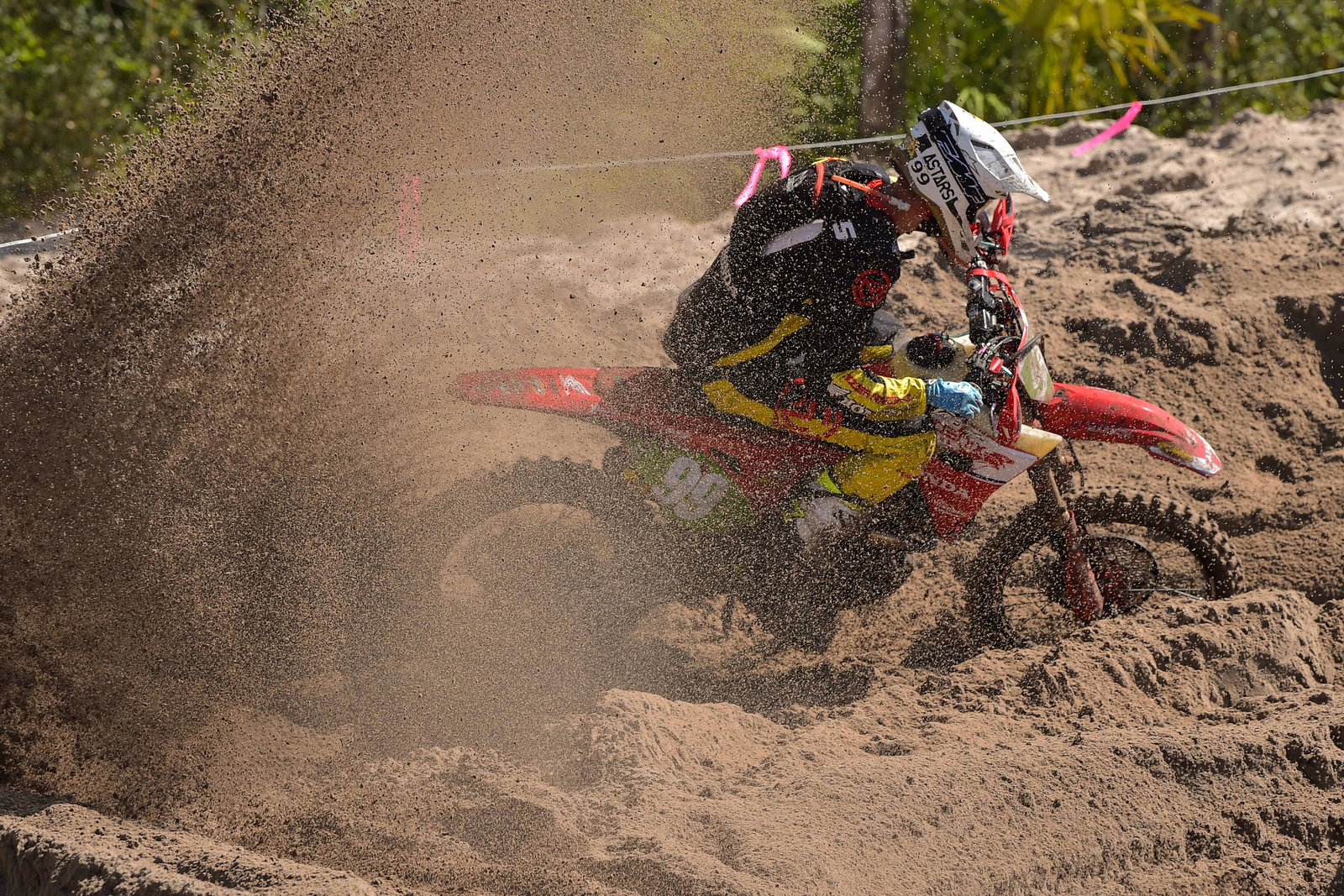 Photo Gallery: Wild Boar Afternoon Bikes