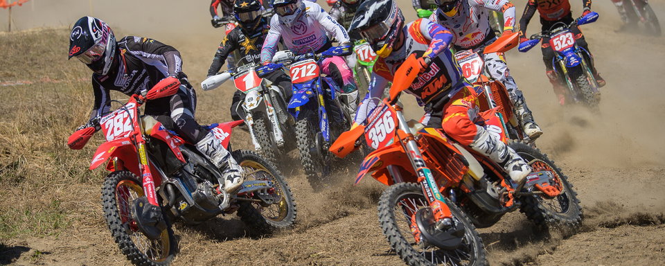Tuesday Toolbox: Dante Oliveira