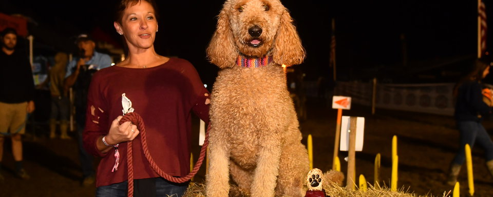 Ninth Annual Mowgli Memorial Dog Show Presented by Paws Up! Set to Take Place at Parts Unlimited Mason-Dixon GNCC 