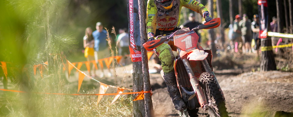 Photo Gallery: Wild Boar Bikes