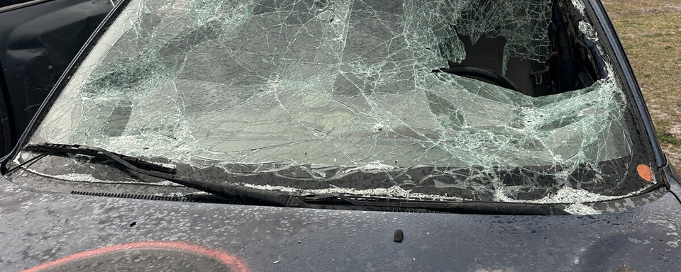 Wild Boar GNCC Vandalism Reward Offered