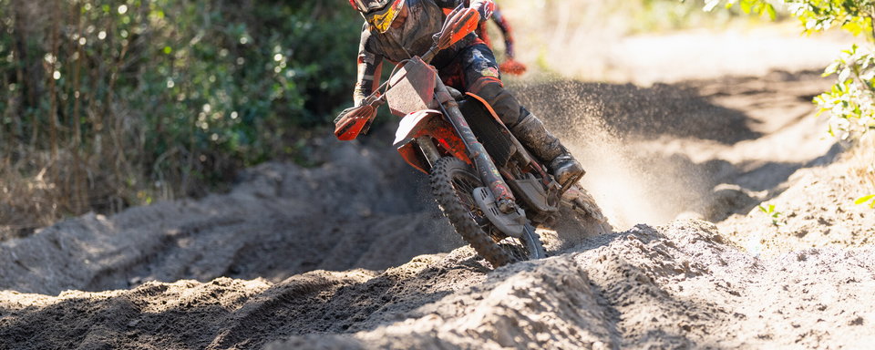 Photo Gallery: Wild Boar Bikes