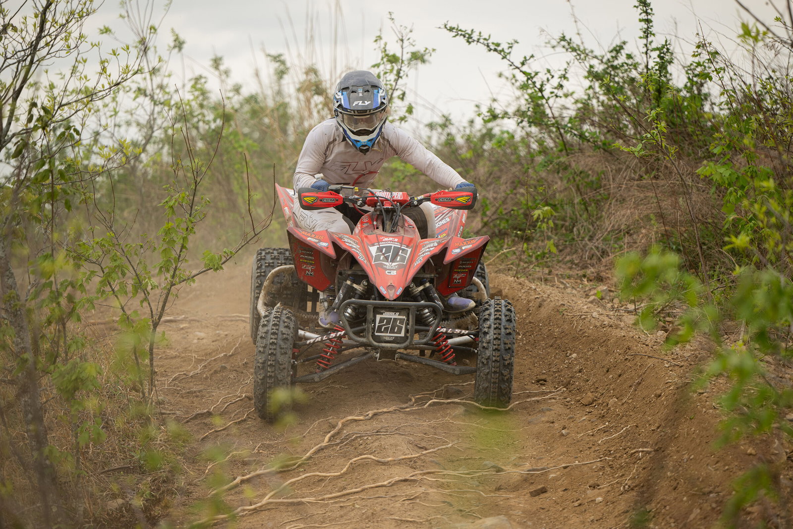 Tuesday Toolbox: Aiden Jones