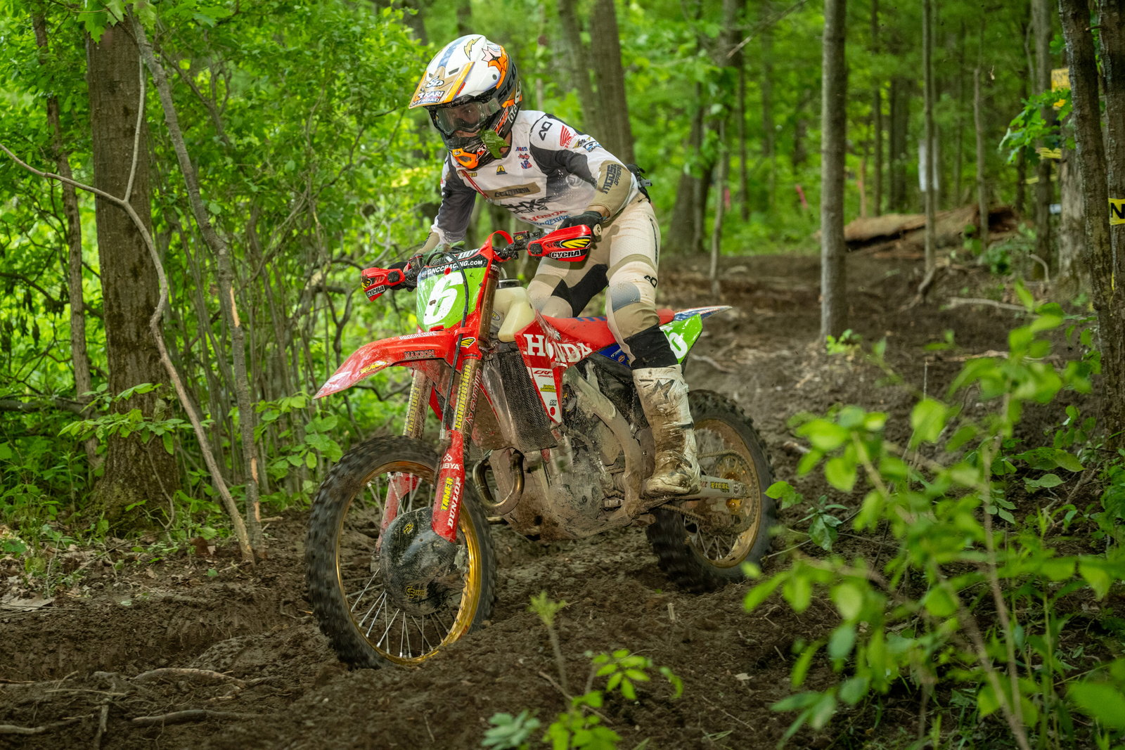 Tuesday Toolbox: Gus Riordan